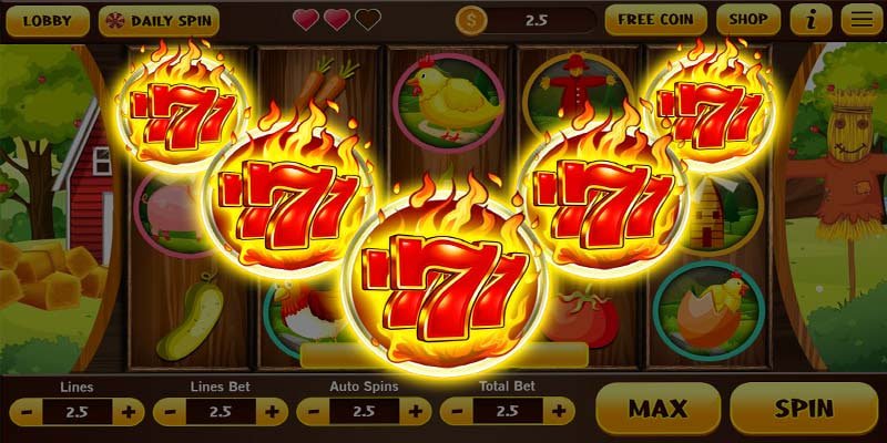 5597 bet